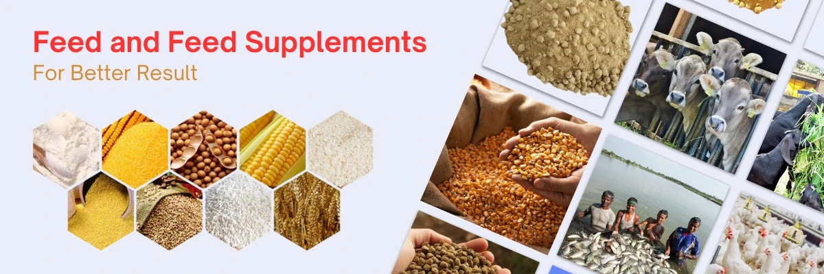Feed and Feed Supplement
