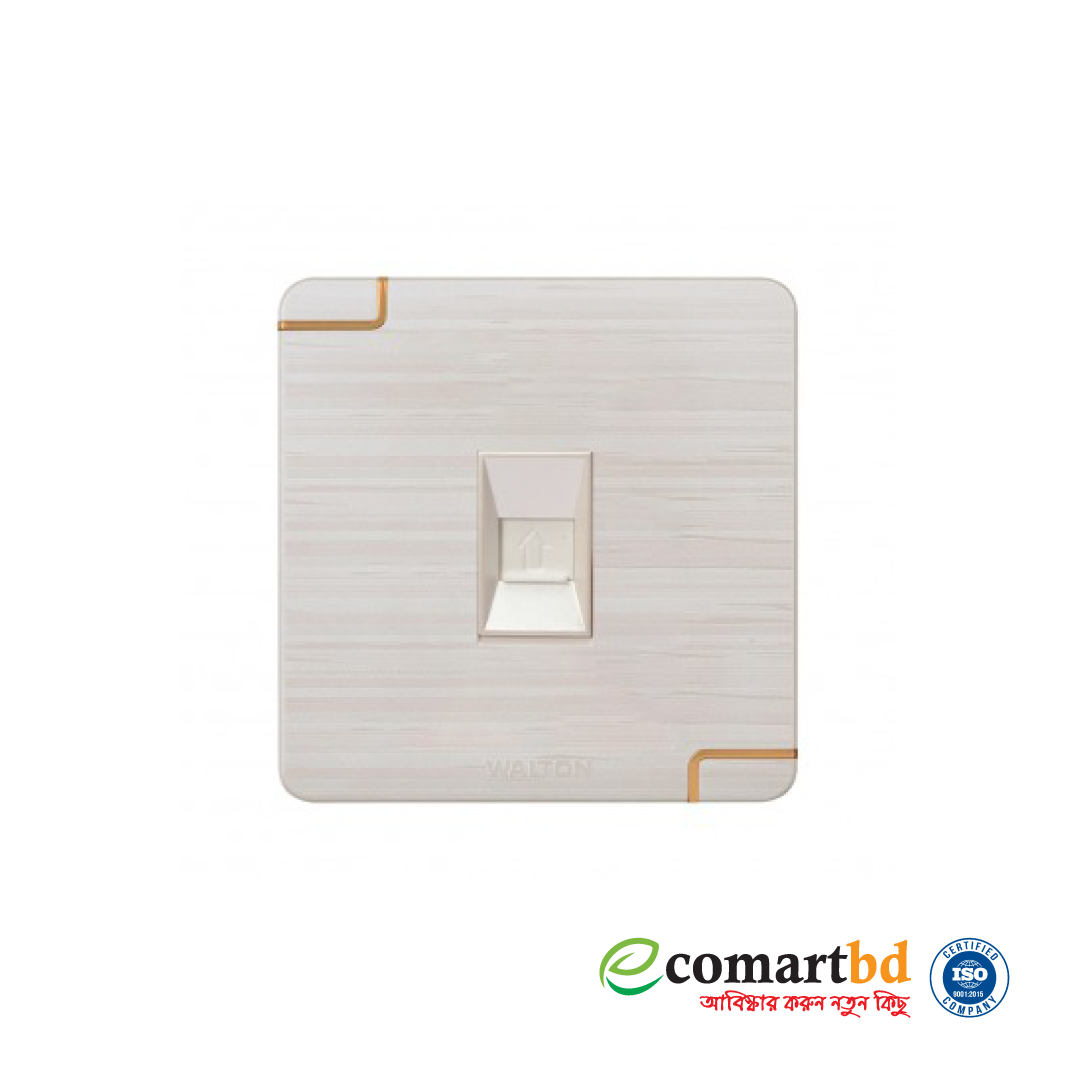 Data Socket (Walton Gang Switch)