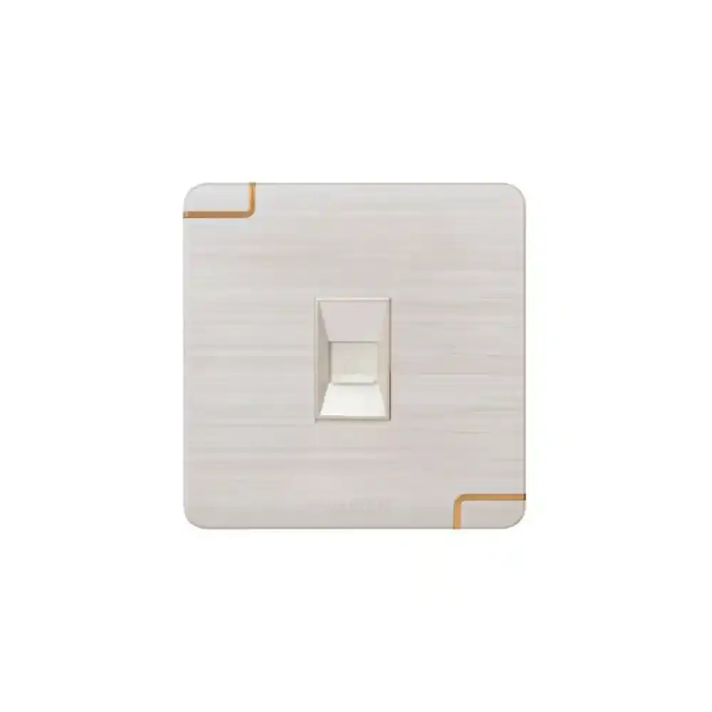 Data Socket (Walton Gang Switch)